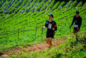 BIB: 
                            <button type="button" onclick="openModal(19163730)" class="btn btn-primary btn-sm float-right btn-popup" data-toggle="modal" data-target=".modal-high-quality">
                        <i class="fas fa-shopping-cart"></i> Add to Cart
                    </button>
                                            <button type="button" onclick="isThisMe(19163730, true)" class="btn btn-success btn-sm float-right btn-popup btn-isme hidden" data-toggle="tooltip" data-placement="bottom" title="นี่คือรูปของคุณใช่ไหม คลิกที่นี่เพื่อเอาเข้าอัลบั้ม">
                        <i class="fas fa-plus"></i> Add to album
                    </button>
                    <button type="button" onclick="isThisMe(19163730, false)" class="btn btn-warning btn-sm float-right btn-popup btn-isnotme hidden">
                        <i class="fas fa-ban"></i> Remove from album
                    </button>